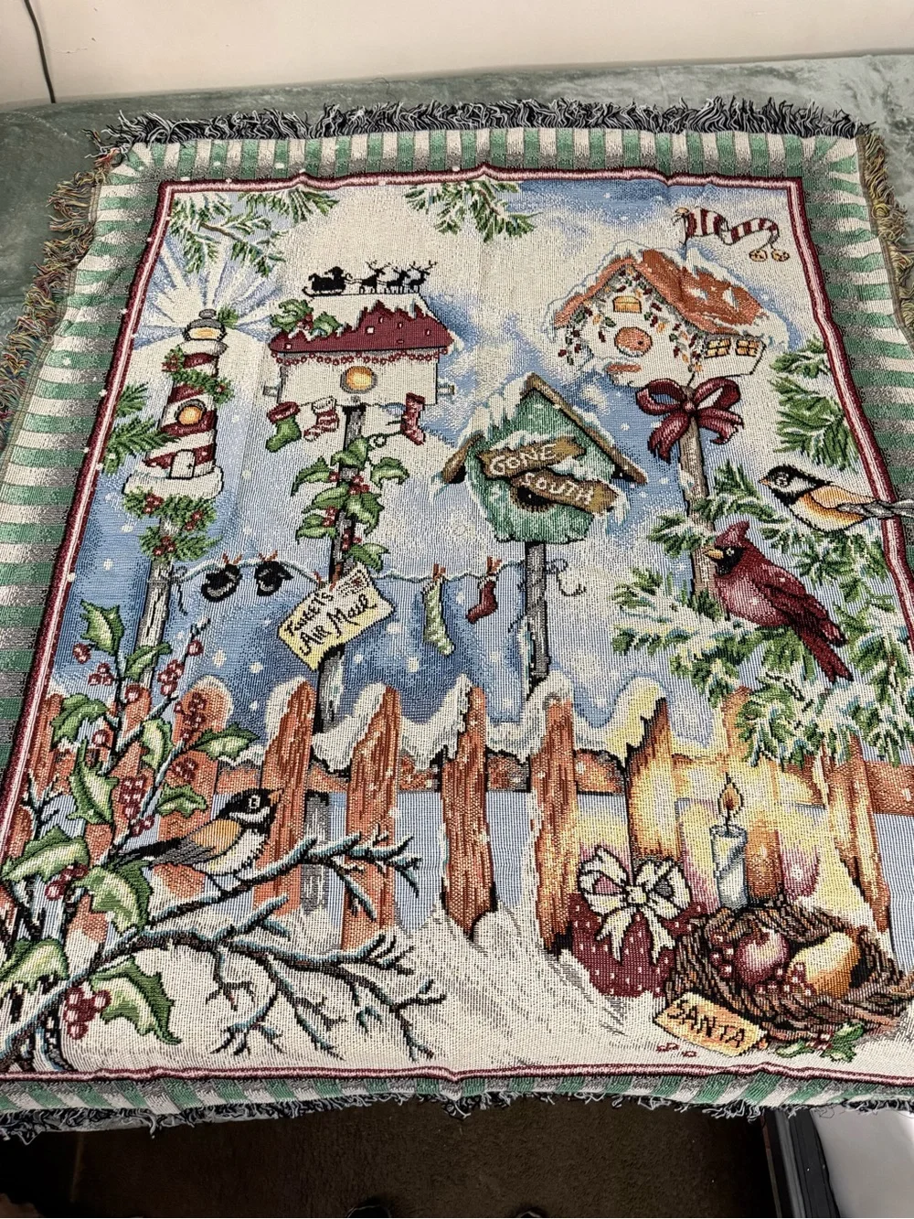 There’s Snow Place Like Home 50” X 60” Winter Themed Tapestry Throw